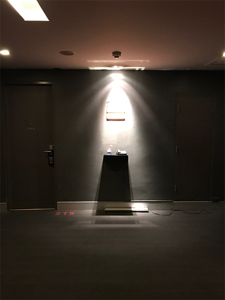 エレベーター降りた所の正面に設置されるオゾン発生器